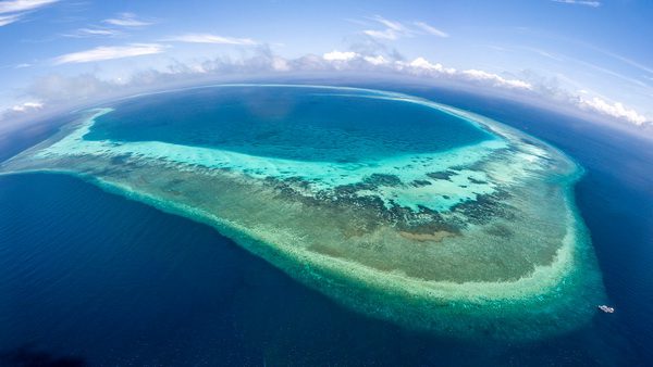 Tubbataha Reef