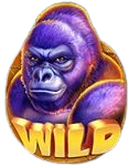 kong wild